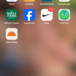 Liza Kanaeva Hunsicker