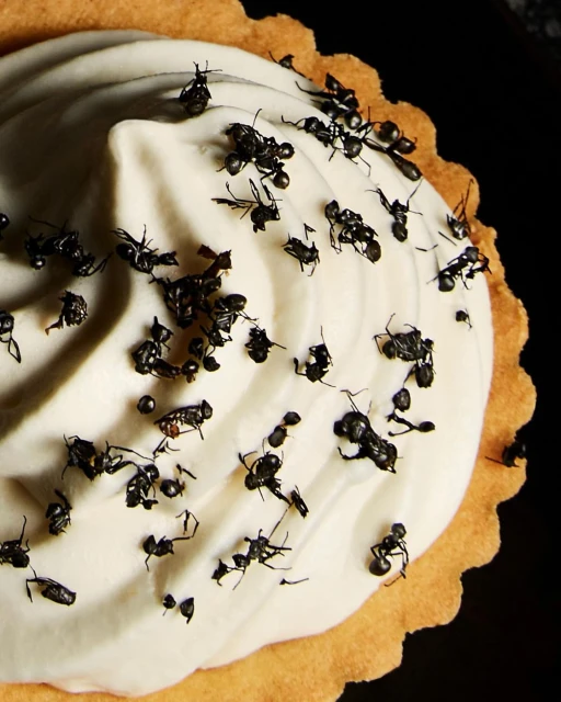 Wyatt-Clarke & Jones