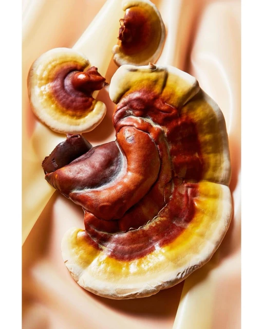 Wyatt-Clarke & Jones