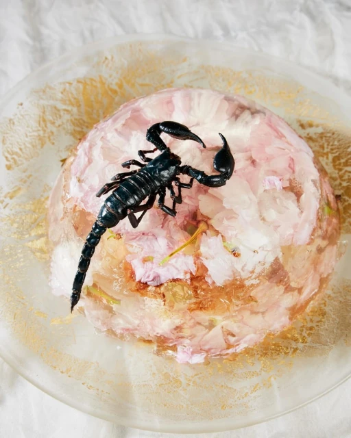 Wyatt-Clarke & Jones