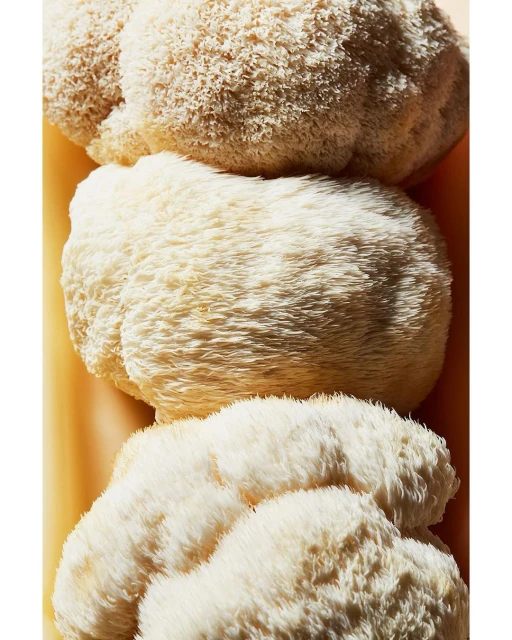 Wyatt-Clarke & Jones