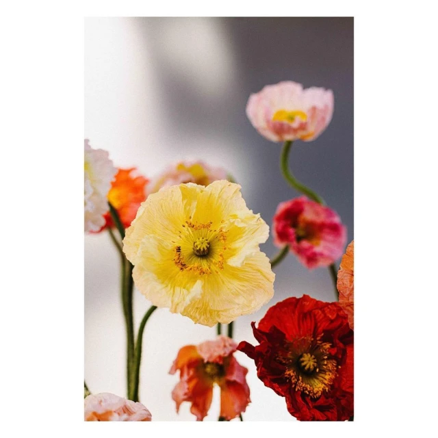 Valerie Paumelle Agent