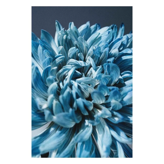 Valerie Paumelle Agent