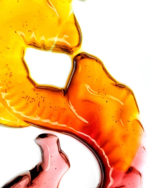 One Represents | Interiors & Still Life