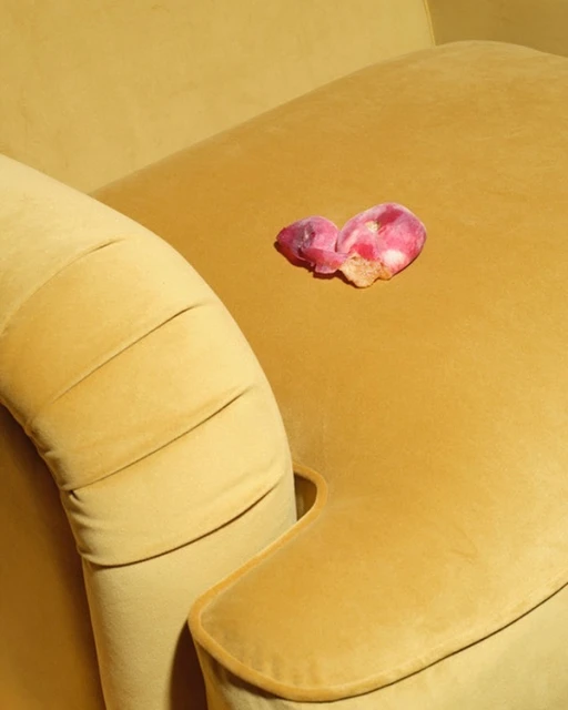 One Represents | Interiors & Still Life