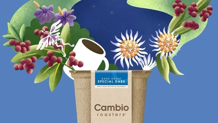 Making Pictures Illustration