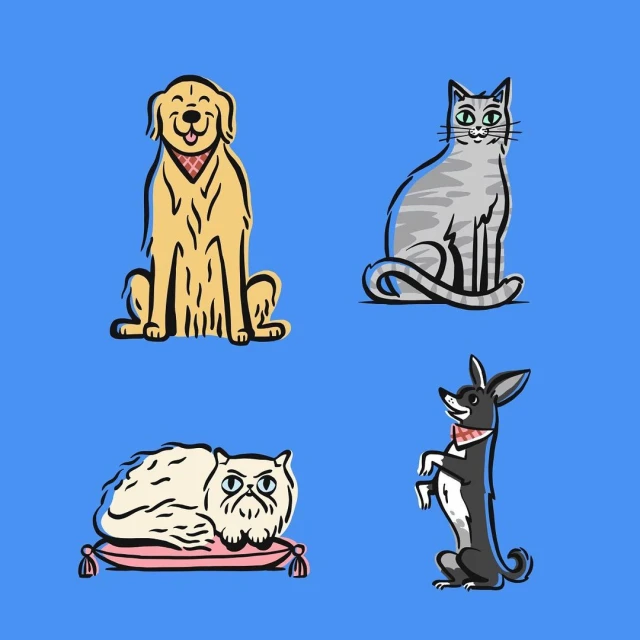 Making Pictures Illustration