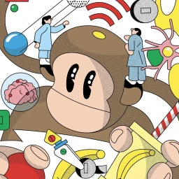 Maria Do Rosário Frade