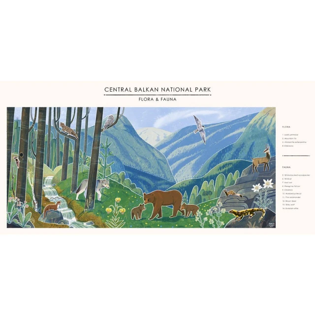 Inkling Illustration