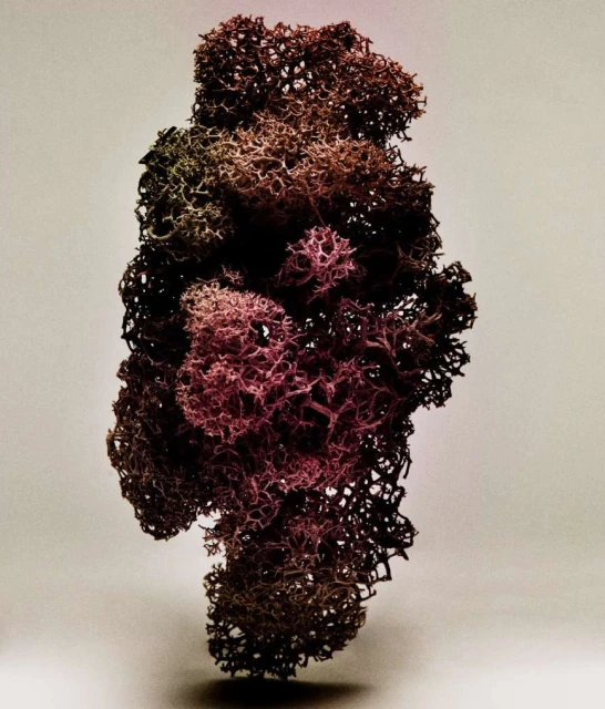 King Management Agency