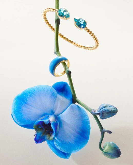 King Management Agency