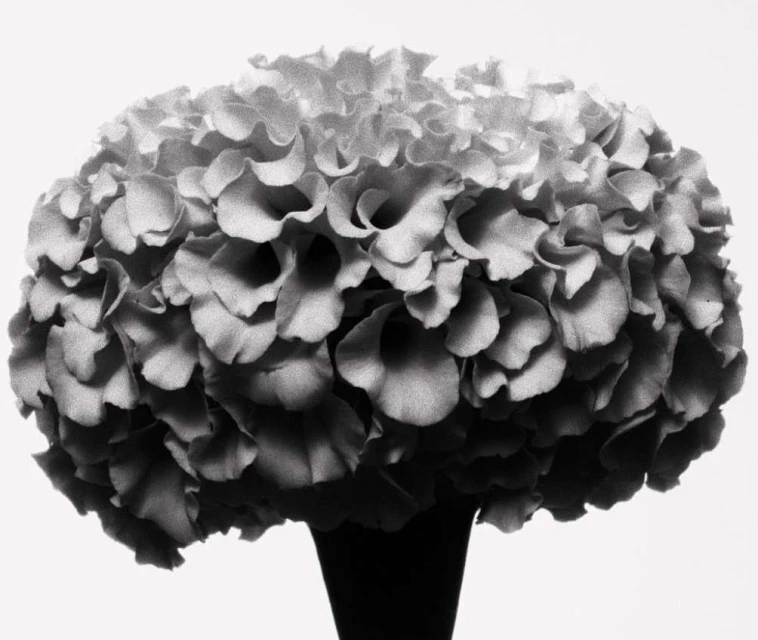 King Management Agency