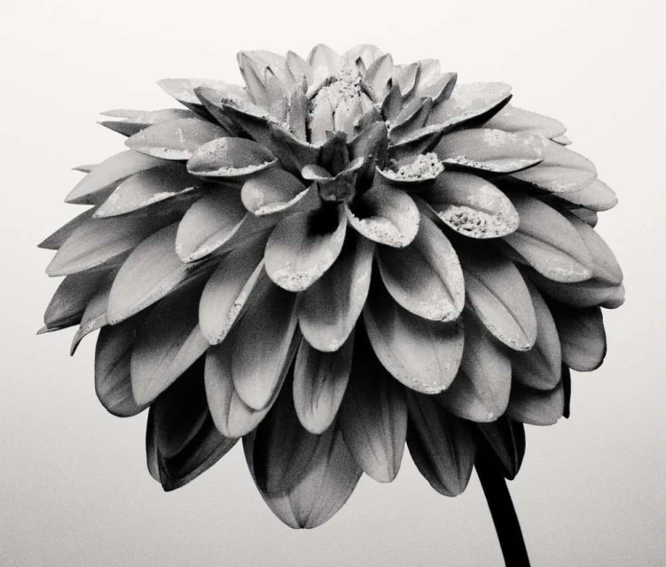 King Management Agency