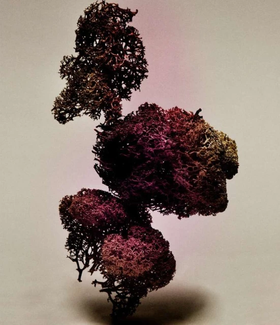 King Management Agency