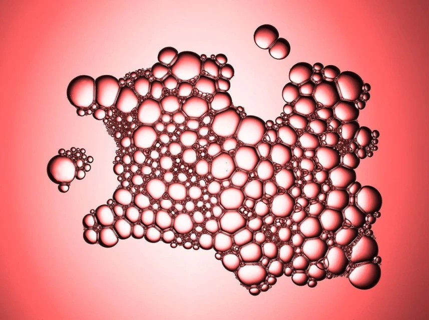 Ginsburg & Associates