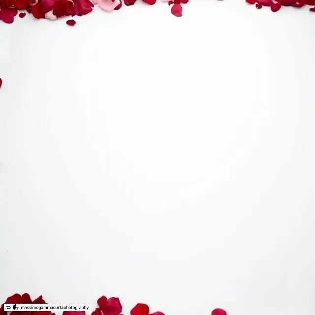 Ginsburg & Associates