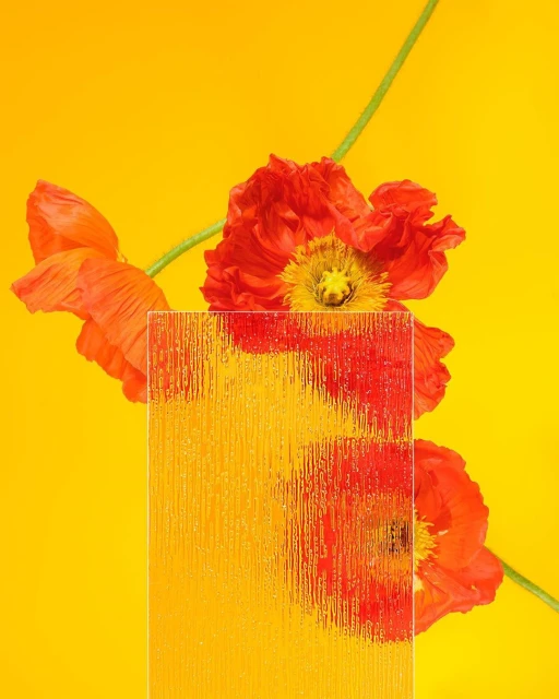 Ginsburg & Associates