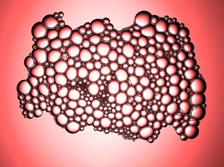 Ginsburg & Associates