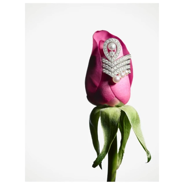 One Represents | Interiors & Still Life