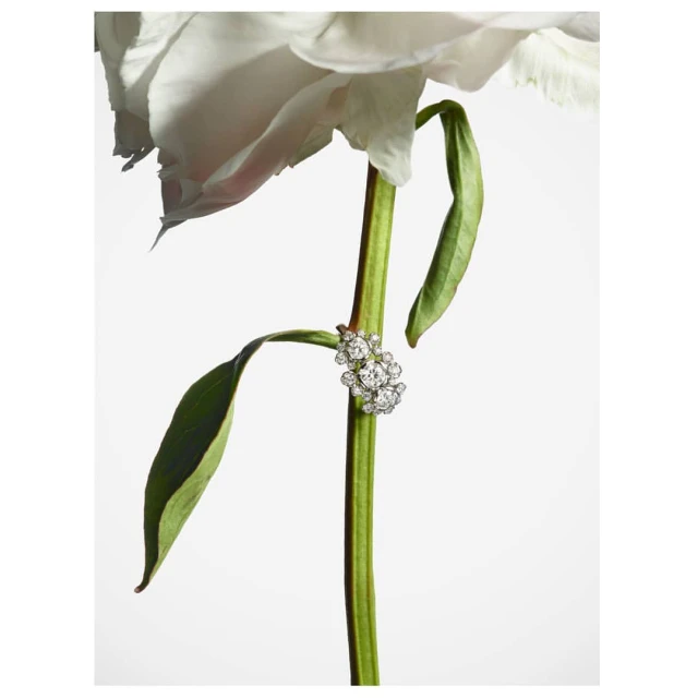 One Represents | Interiors & Still Life