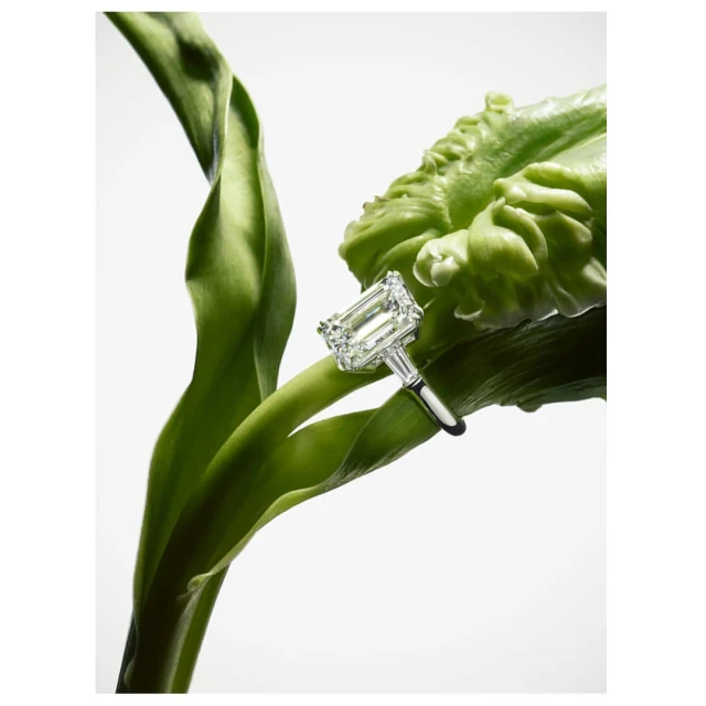 One Represents | Interiors & Still Life