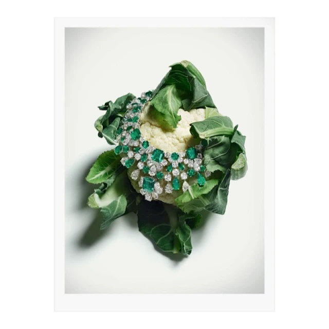 One Represents | Interiors & Still Life