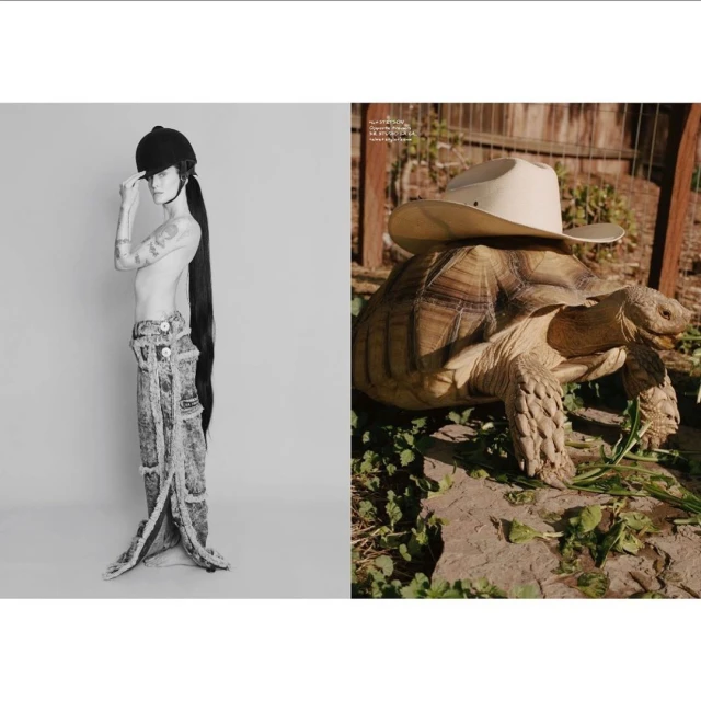 Michael Bailey-gates