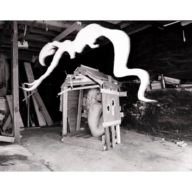 Michael Bailey-gates