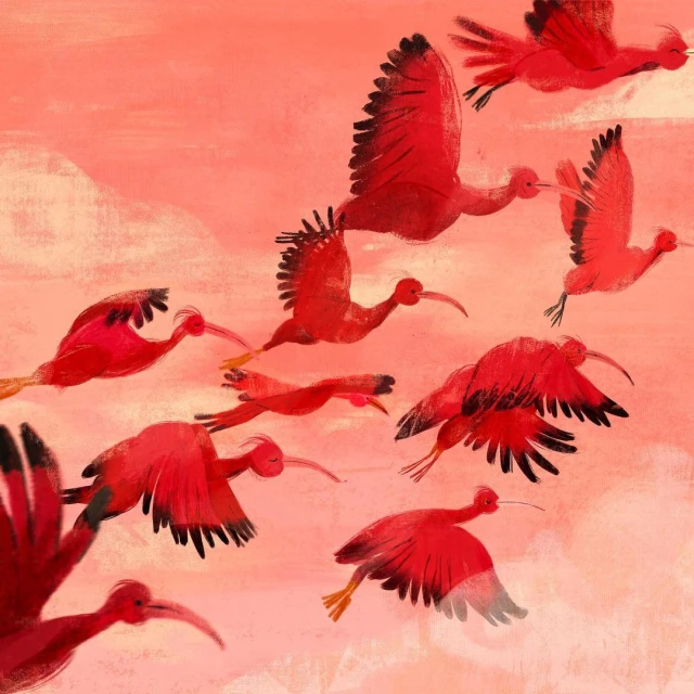 Natalia Rojas Castro