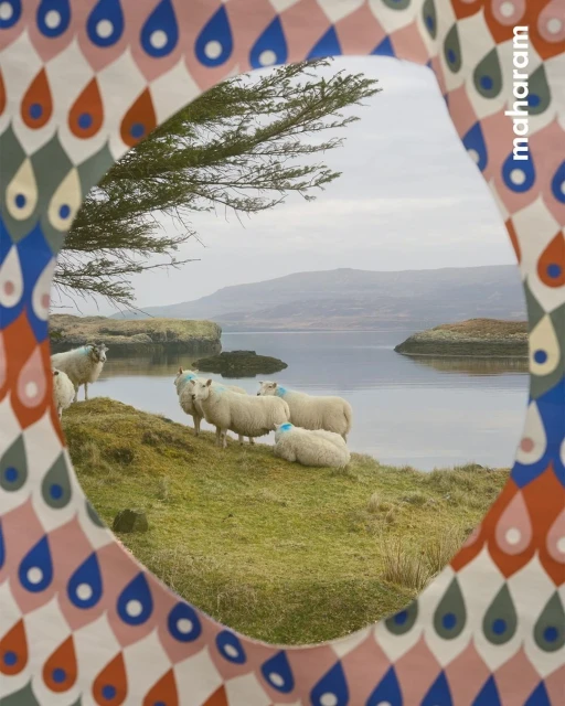 Wyatt-Clarke & Jones