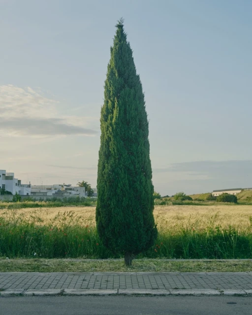 Wyatt-Clarke & Jones