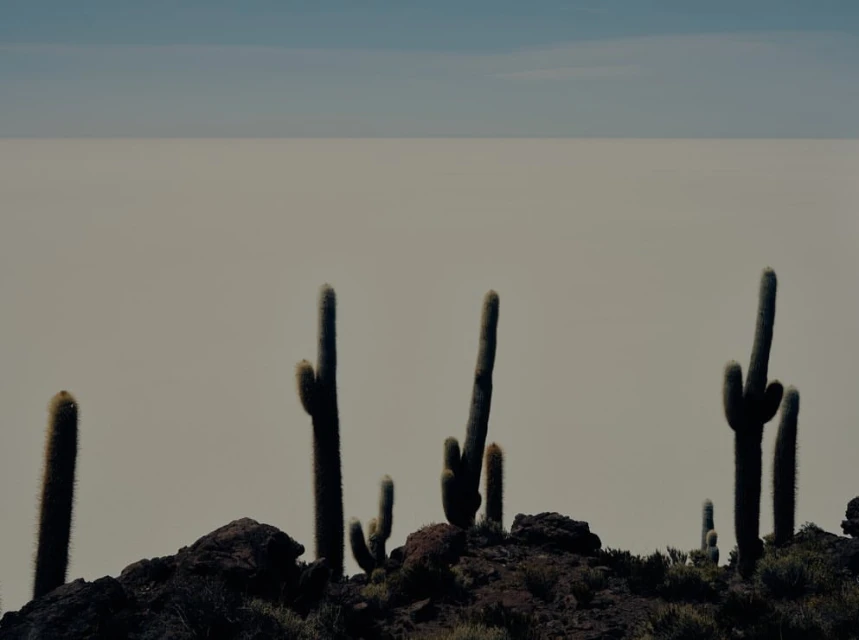 Wyatt-Clarke & Jones