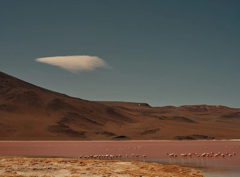 Wyatt-Clarke & Jones