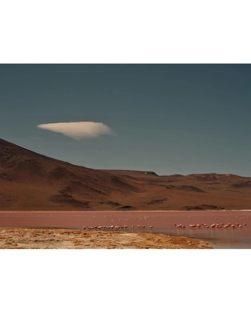 Wyatt-Clarke & Jones