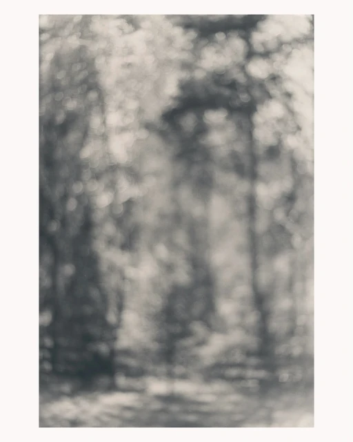 Ola Rindal
