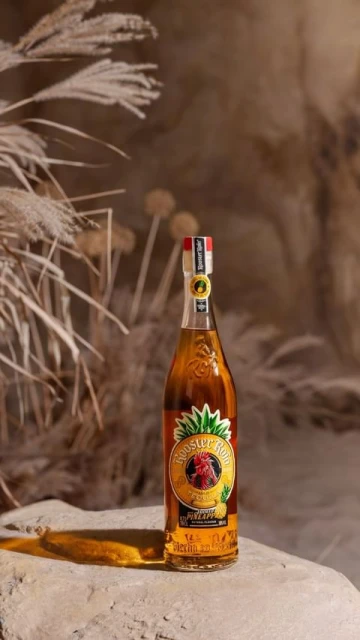 Janice Moses Represents