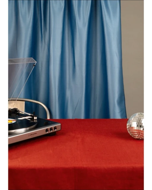 Janice Moses Represents