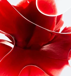 Julian Meijer Agency