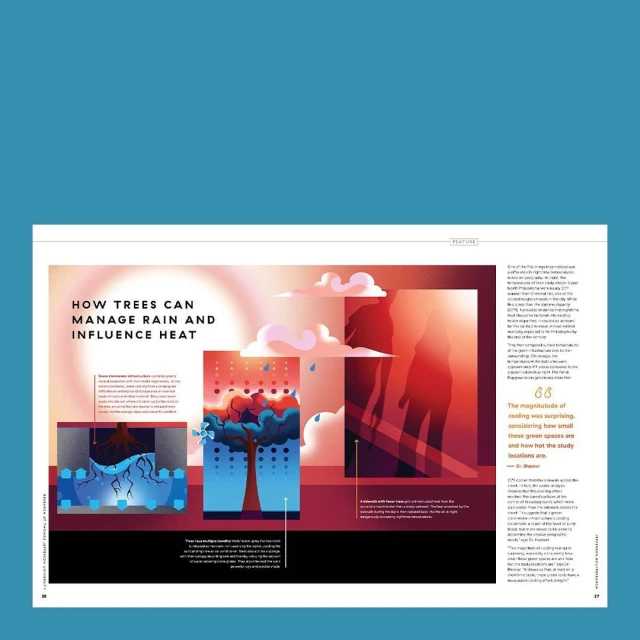 Making Pictures Illustration