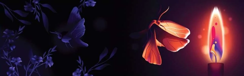 Making Pictures Illustration