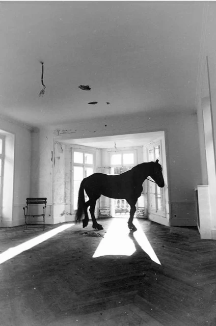 P.a Hüe De Fontenay