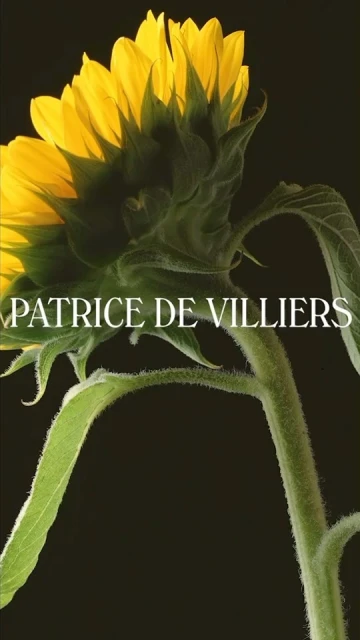 Patrice De Villiers