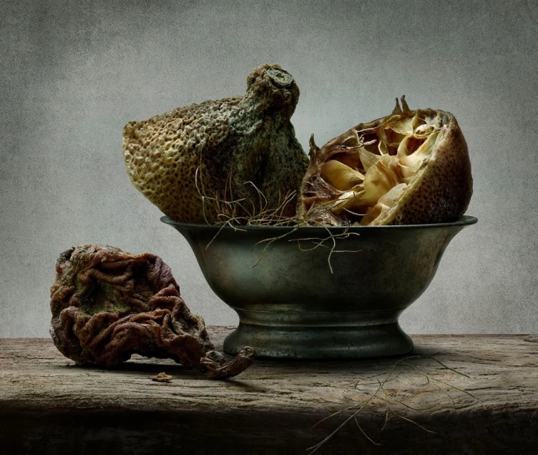 Peter Lippmann
