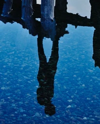 Philip North-Coombes