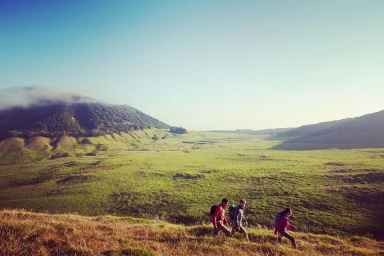 Philip North-Coombes