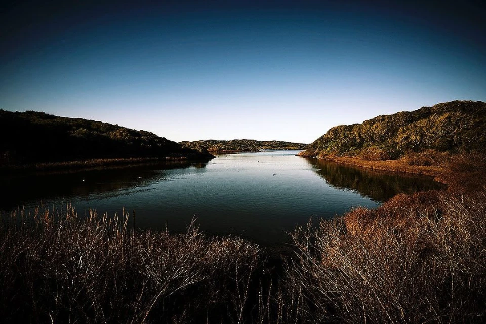 Elizabeth Pojé + Associates