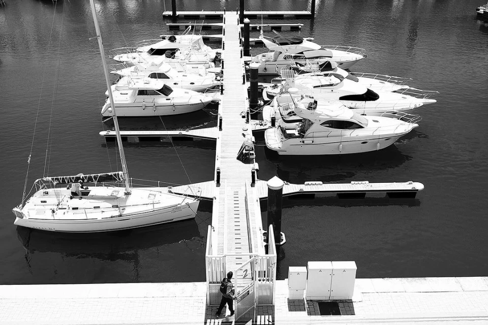 Elizabeth Pojé + Associates