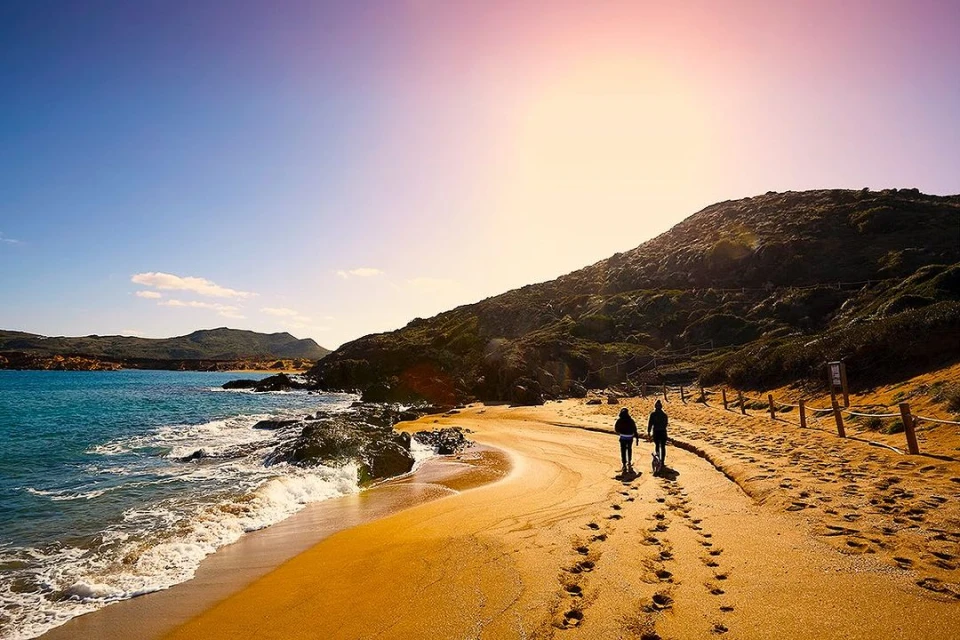 Elizabeth Pojé + Associates