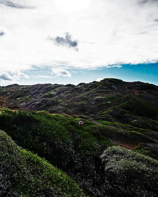 Elizabeth Pojé + Associates