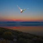 Philip North-Coombes